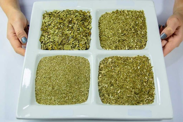 Jak se yerba mate zpracovává